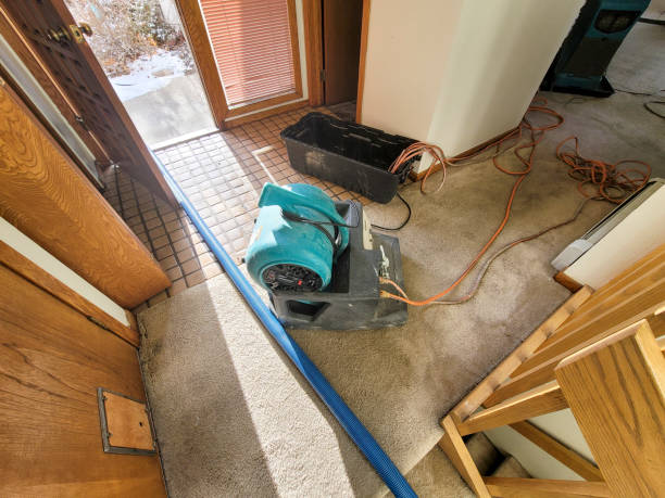Best Sewage cleanup and water damage restoration  in Twinsburg, OH