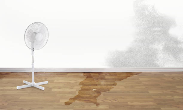 Best Flood damage cleanup  in Twinsburg, OH