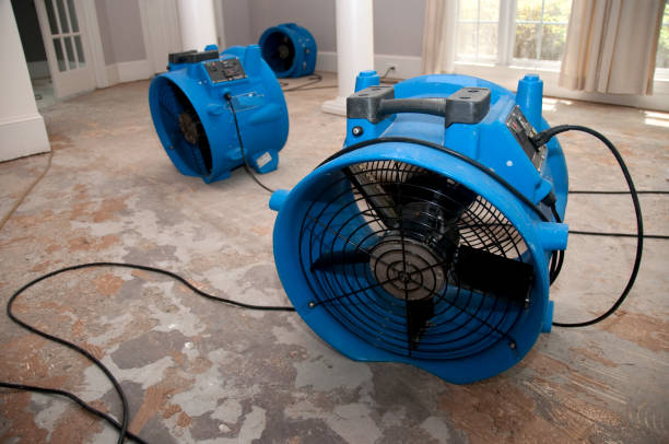 Best Flood restoration services  in Twinsburg, OH