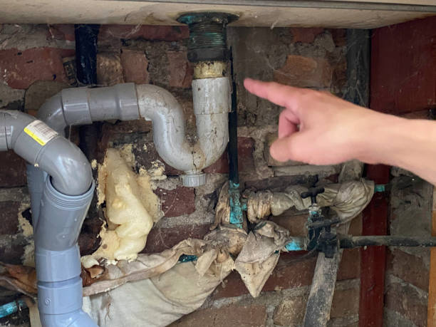 Best Professional water damage repair  in Twinsburg, OH