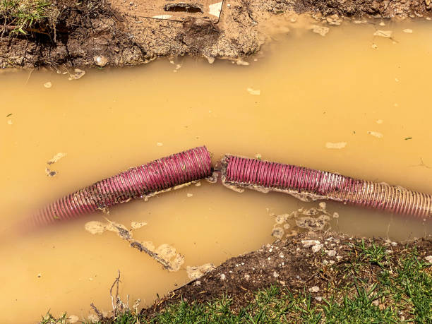Best Carpet water damage restoration  in Twinsburg, OH