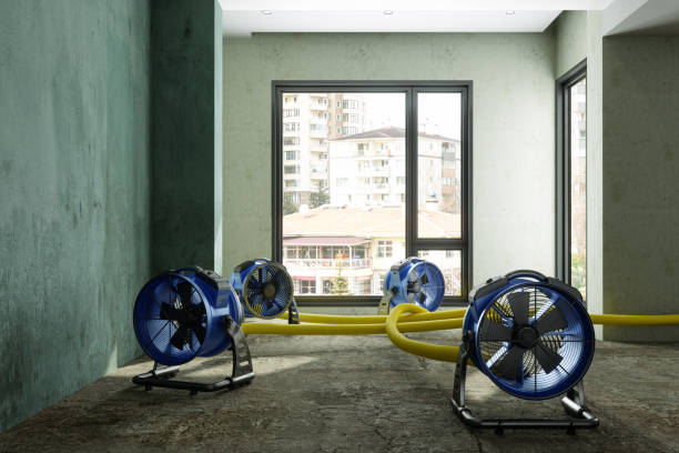 Best Basement water damage restoration  in Twinsburg, OH
